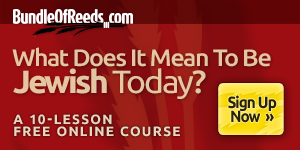 What Does It Mean To Be Jewish Today? - A 10-Lesson Free Online Course | Like A Bundle of Reeds