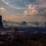 incendios en el amazonas