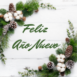 feliz año nuevo laitman