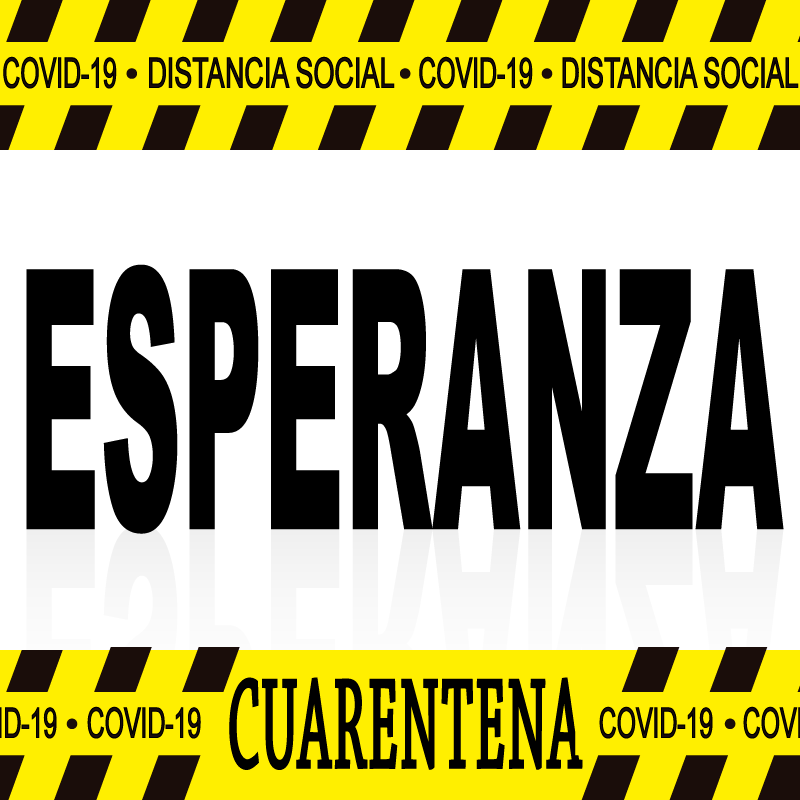 Economía de emergencia  covid-19