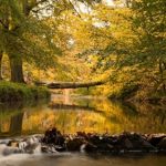 lección del coronavirus