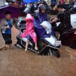 plagas modernas egipto naturaleza