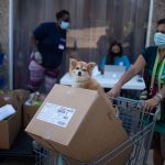 la vacuna para la covid 19 debe tocar el corazón