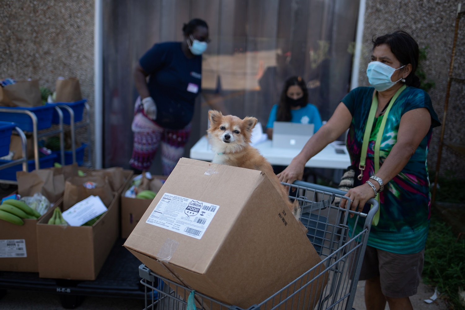la vacuna para la covid 19 debe tocar el corazón