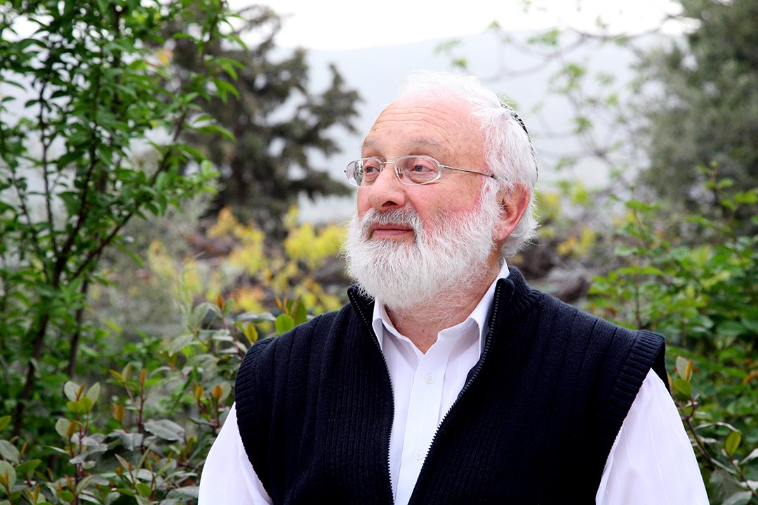 naturaleza humana democracia