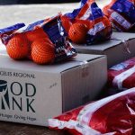 principios que garantizan la vida