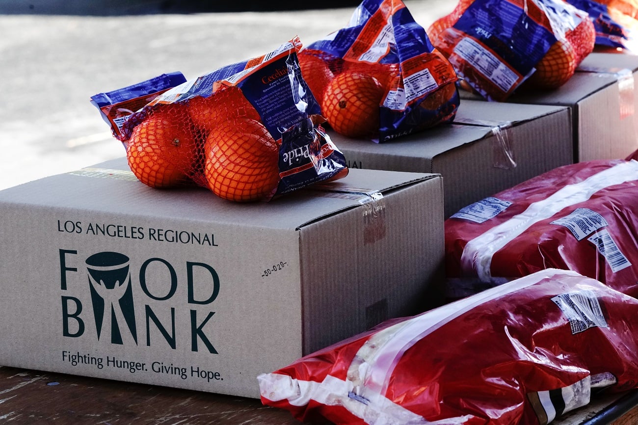 principios que garantizan la vida