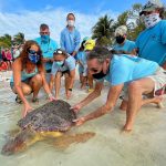 Tierra cambio humanidad