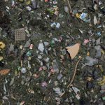 crisis climática la Tierra