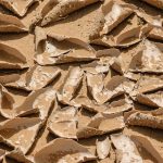 tragedia de los comunes bienes