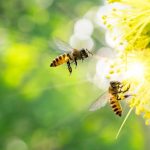 IA amor inteligencia artificial tecnología