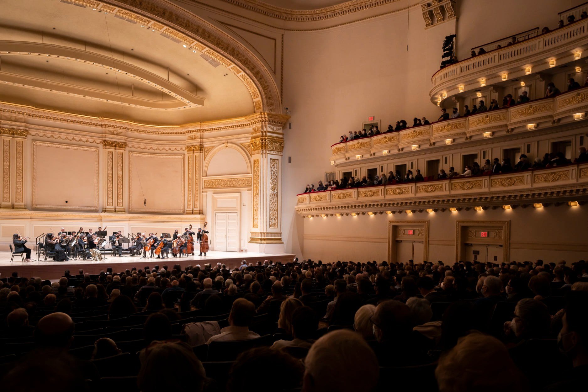 orquesta orfeo música