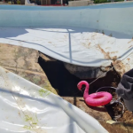 unir que queda propósito vida