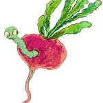 mentiras desinformación