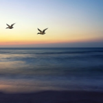 naturaleza humana cambiar cambio humanidad