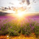 creer Dios amor amar