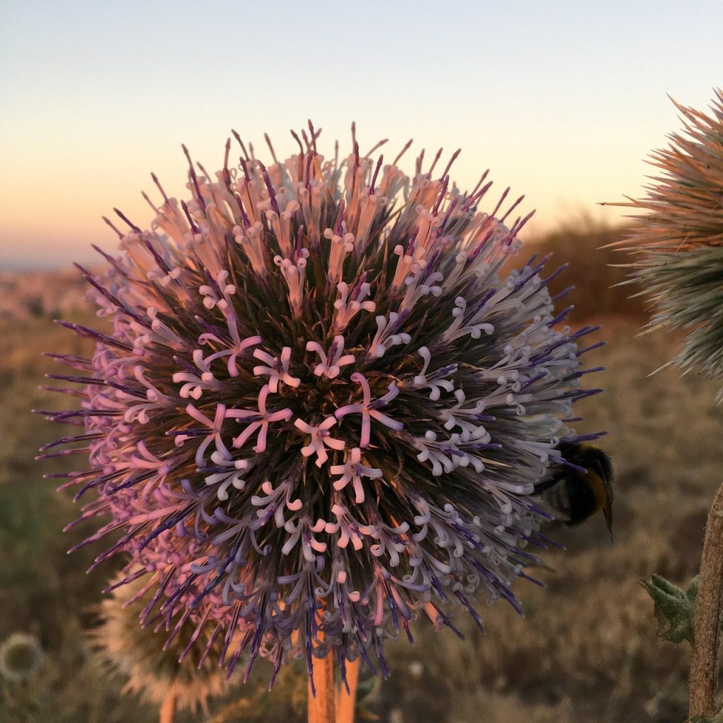 espiritualidad medir