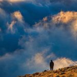 propósito de vida sentido de la ida