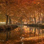 alegría naturaleza conexión