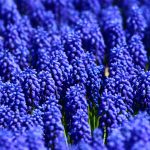 sociedad unidad conexión