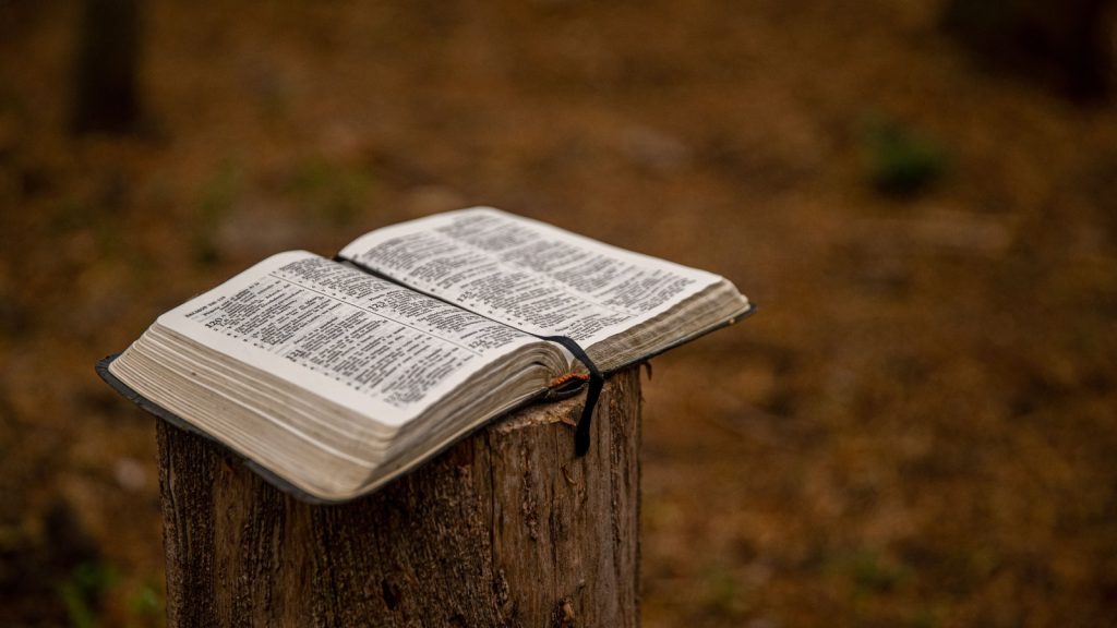 Biblia secretos Torá