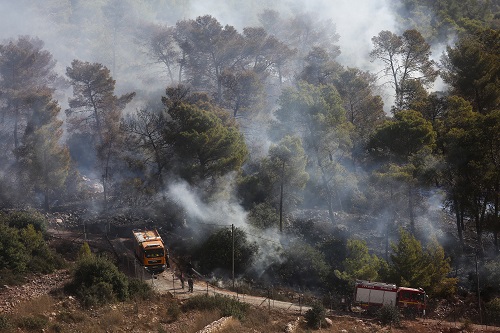 צילום: פלאש 90