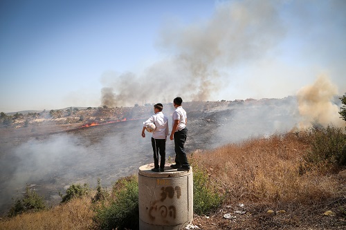 Ultra orthodox watch fire fighters trying to extinguish a forest fire which broke out in the area of Ramat bet Shemesh, outside of Jerusalem on September 20, 2016. Photo by Yaakov Lederman/Flash90 *** Local Caption *** ùøéôä øîú áéú ùîù çøãéí çøãé éìãéí