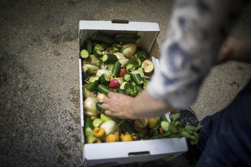 (צילום: פלאש 90/הדס פארוש)