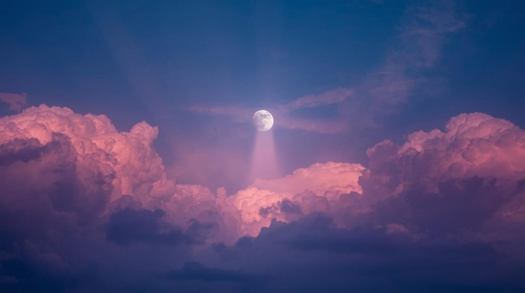 פילוסופיה ארורה