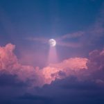 פילוסופיה ארורה