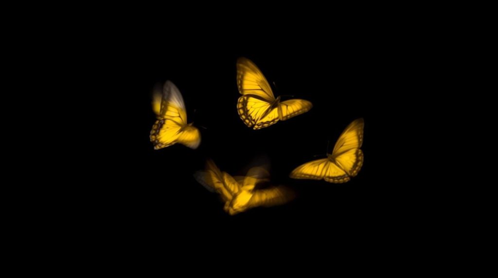 ארבעה שלבים של קשר