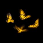 ארבעה שלבים של קשר